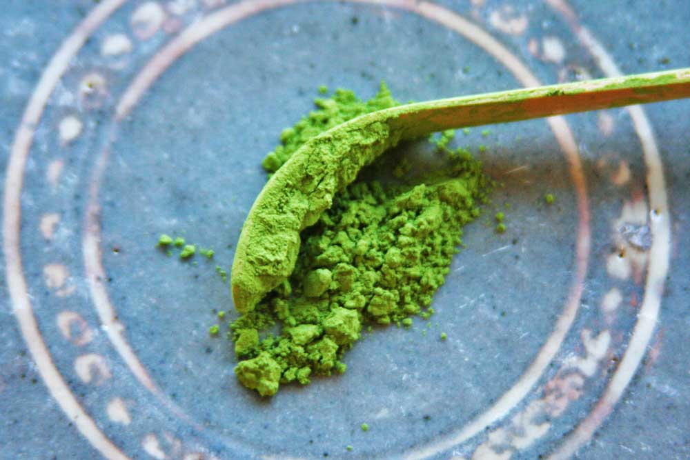 Matcha Nedir?