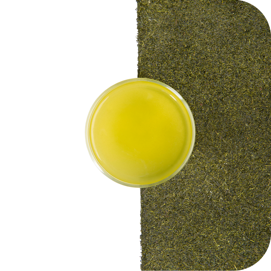 Sencha Chiran Yeşil Çay